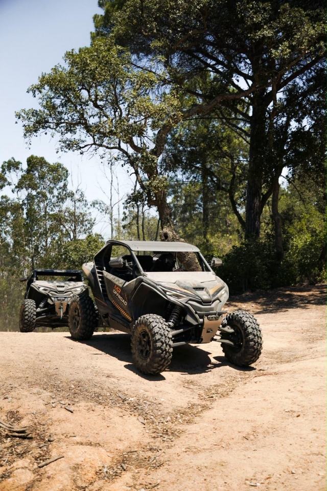  Pilot a buggy along the Costa Brava 