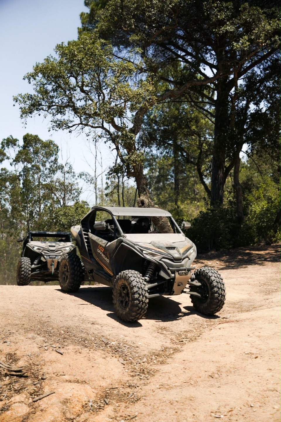  Pilot a buggy along the Costa Brava 