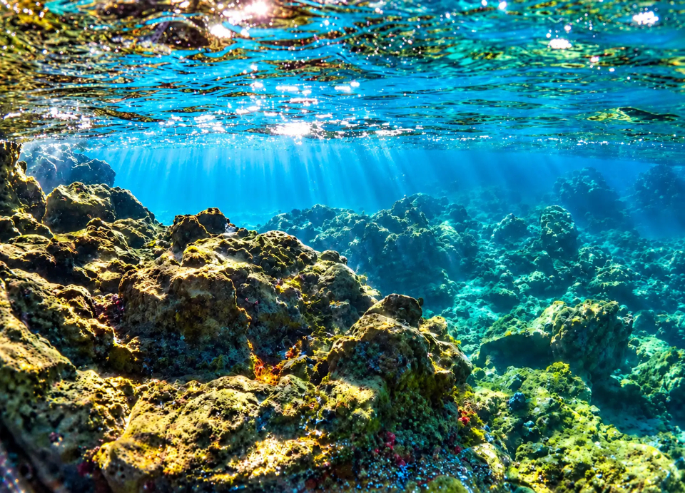 Itinerari in kayak attraverso Tenerife 