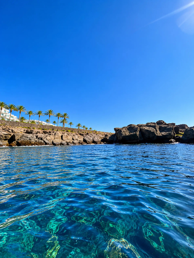  Get to know the crystal clear waters of Tenerife's Atlantic 