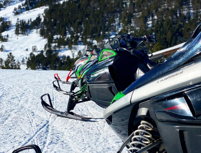 Motos de nieve aparcadas entre pinos