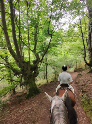 Reitroute durch das Saja-Reservat 2 Stunden