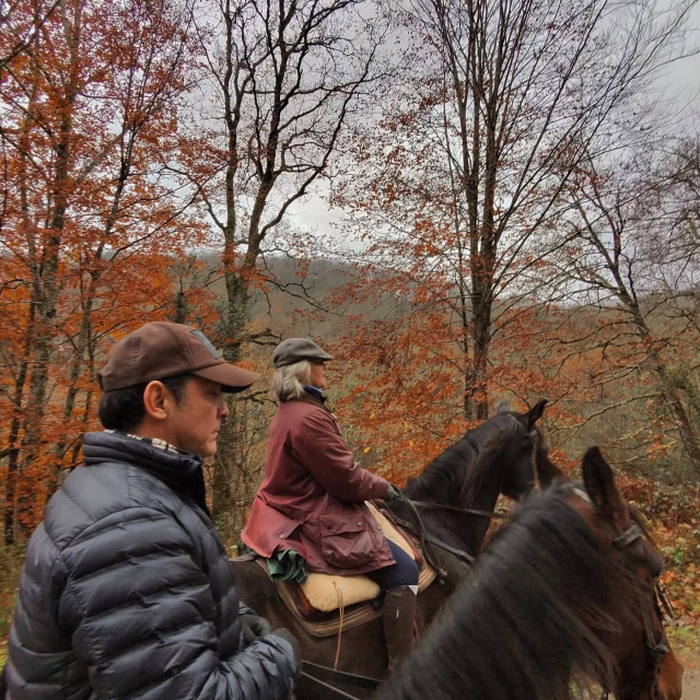  Wir nahmen die Route mit Herbstlandschaft 