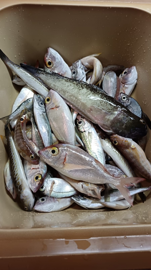 Opinión de Veronica sobre Pesca deportiva de 8 horas en Savona.