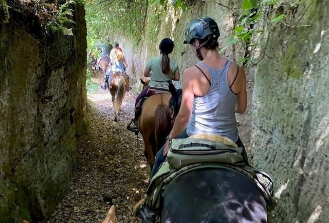Horse Riding Lessons Italy