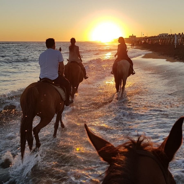Paseo ecuestre en Castel Fusano 2 horas