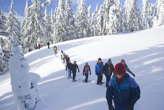 2-hour snowshoe walk in Bardonecchia
