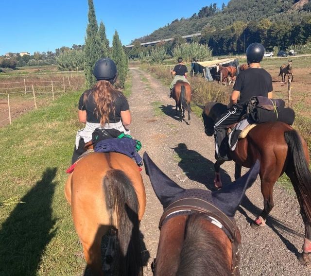 意大利 小马游览