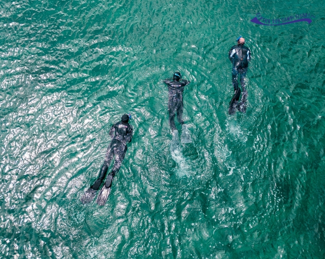 水下睡莲浮潜 1 个半小时