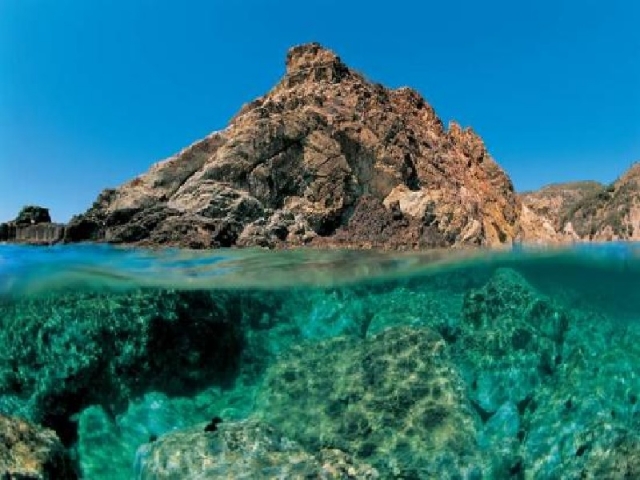 3-stündiges Schnorcheln in der Gegend von Argentario