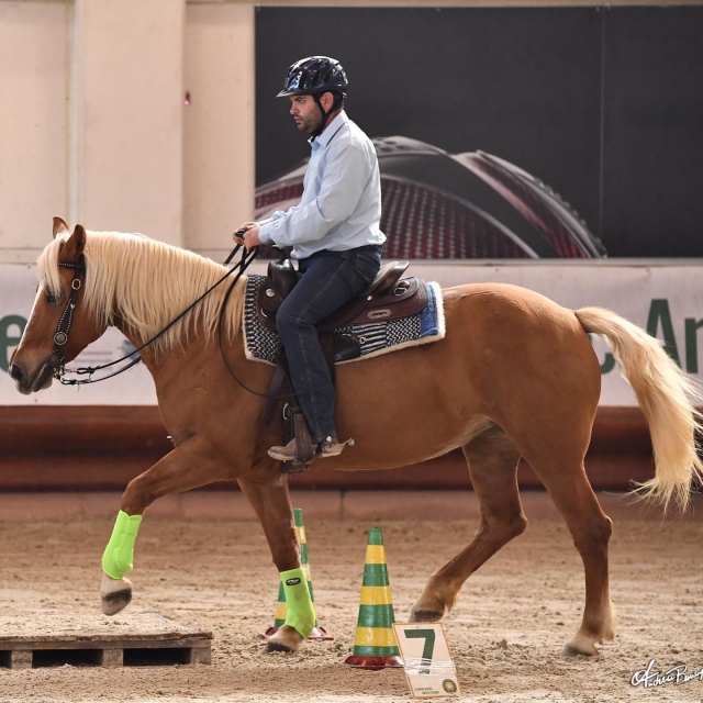 Cabalgando en las caballerizas 