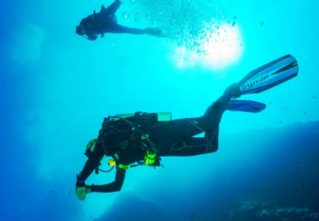 Einzeltauchgang mit Zertifizierung in Mola di Bari 1h