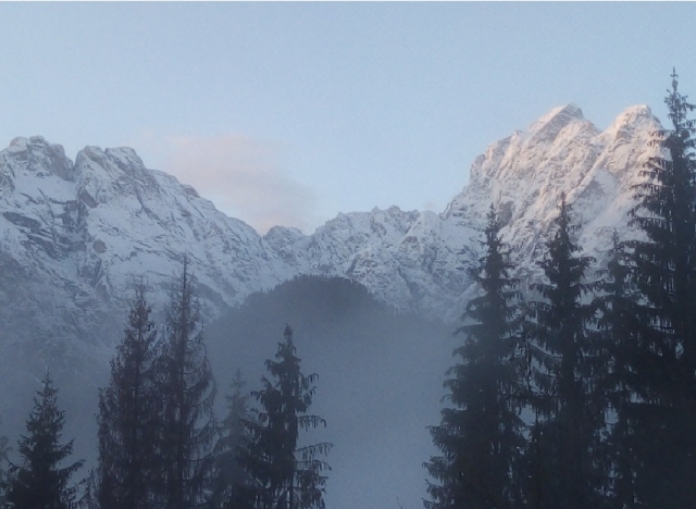 Hundeschlittenfahrt für Kinder Valle del Piave 1 Stunde und 30 Minuten