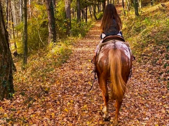 Rutas a caballo para niños en Valle Stura 1h