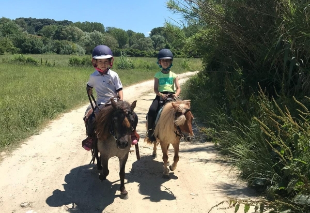 Paseo en pony para niños en Crespina 1h