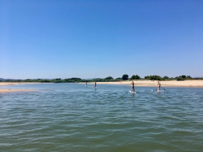 Alquiler material paddle surf en L'Estartit 1h