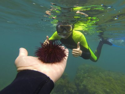Alquiler snorkel, 1 hora, Playa de Ris