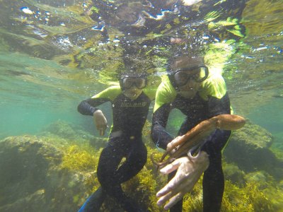 Alquiler snorkel, 2 horas, Playa de Ris