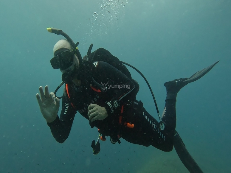 Curso de buceo PADI Divemaster en Las Tablas desde 670€ - Yumping.com