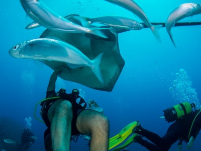 PADI Rescue Diver Kurs, Las Galletas, Teneriffa