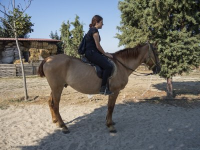 My first horse riding for adults and children