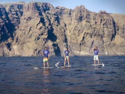 Alquiler de material de Paddle Surf Tenerife