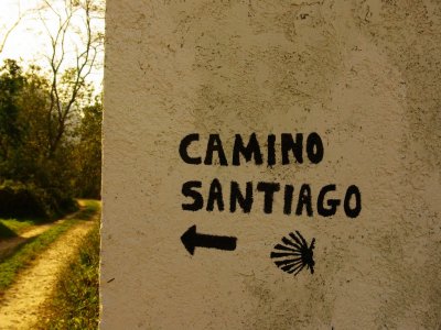 French Way of Santiago by BTT 6 days AD