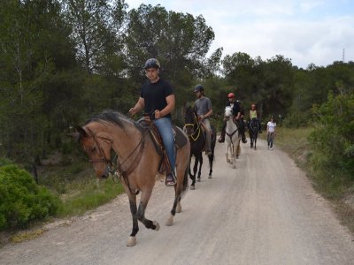 Ruta a caballo despedidas de soltero con fotos