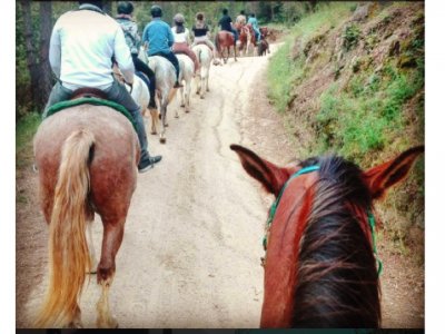 Ruta a caballo en Serralada litoral 1 hora y media