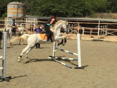 Bono 10 clases de equitación de 1 hora en Òrrius