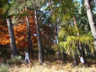 Orientation gymkhana in La Jarosa 2 hours