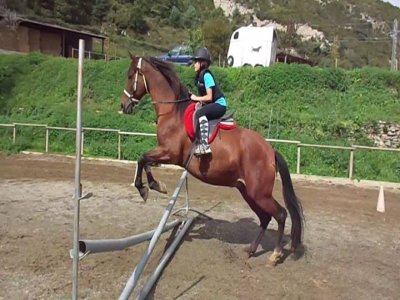 Clase de equitación en el Berguedá 1 hora