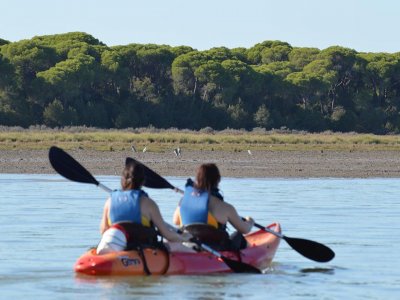 Ruta en kayak entre Sanlúcar y Doñana 90 minutos