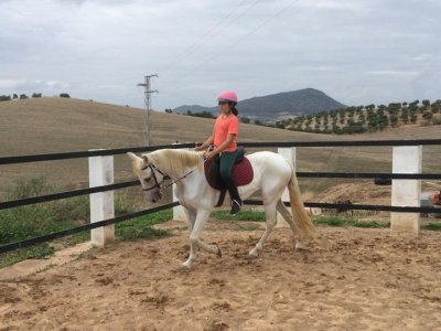 Initiation to the equine world in Morón de la Frontera