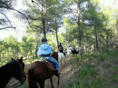 Cofrentes Turismo Activo Rutas a Caballo