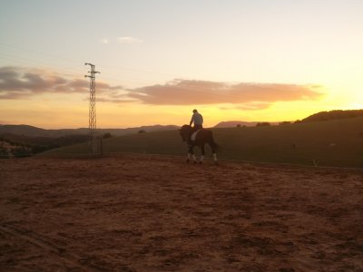 Montar a caballo para 2 Morón de la Frontera 2 h