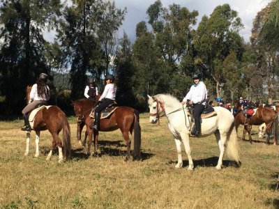 Excursión a caballo de 1h Molins de Rei