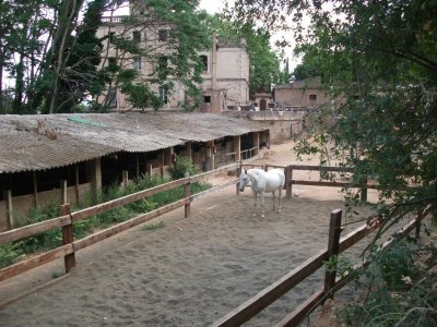 Clase de iniciación a la equitación Molins de Rei