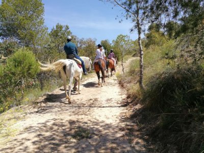 Paseo a caballo Villajoyosa con vistas al mar 40m