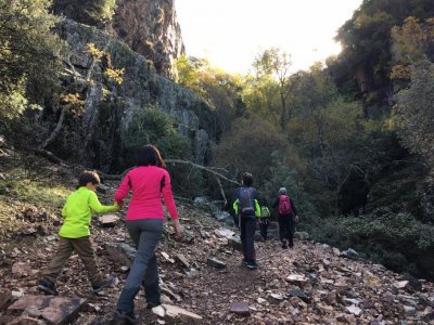 Day of Kayaking and Gymkhana in Aranjuez