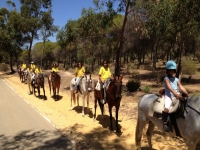  Equestrian tour 