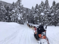 Mushing y construcción de iglú en Andorra 1h 15min