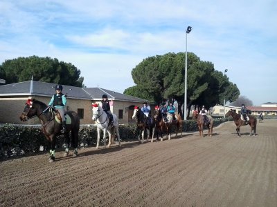 Campamento hípico 2 semanas Navidad en Madrid