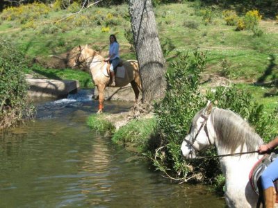 Percurso equestre ao longo do rio Odiel 60 minutos