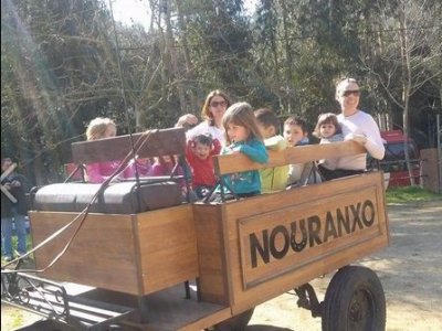 Paseo en carro en Santa Susanna 50 minutos