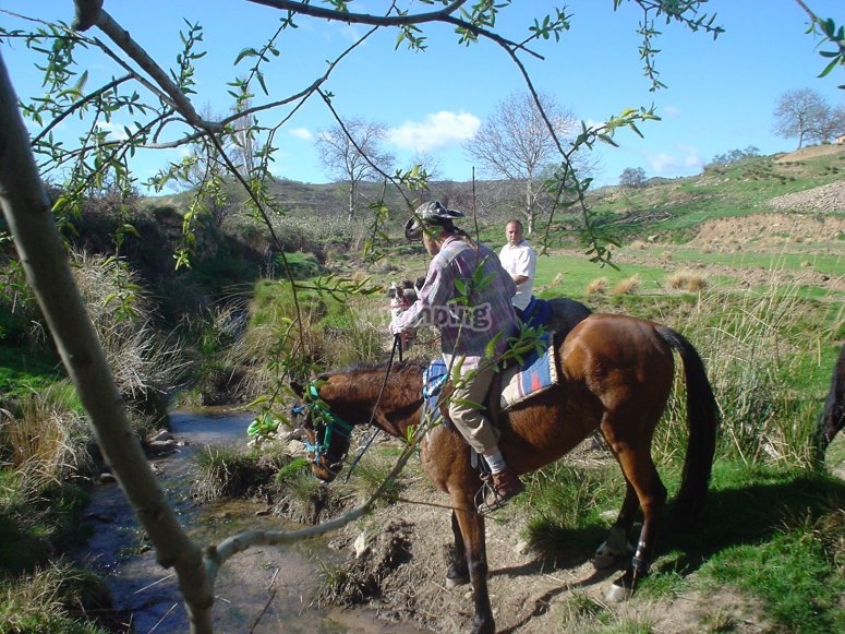 Excursiones a caballo