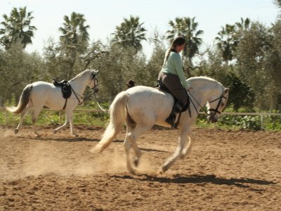 Passeggiata a cavallo nel Preparque de Doñana 1 ora