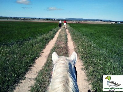 Equitazione a Ciudad Real