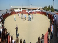 Bullring for fights with bull calves