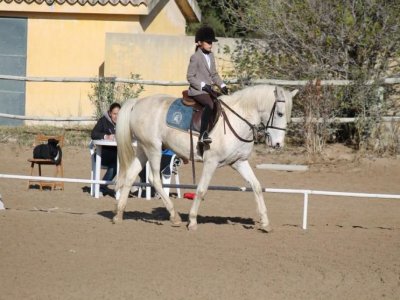 Campamento hípico en Madrid 2 semanas